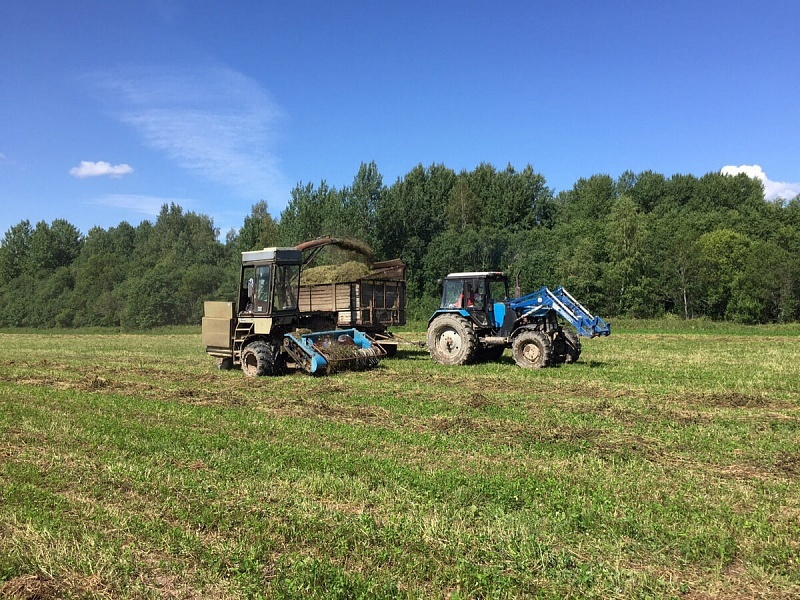 Источние фото: dzen.ru