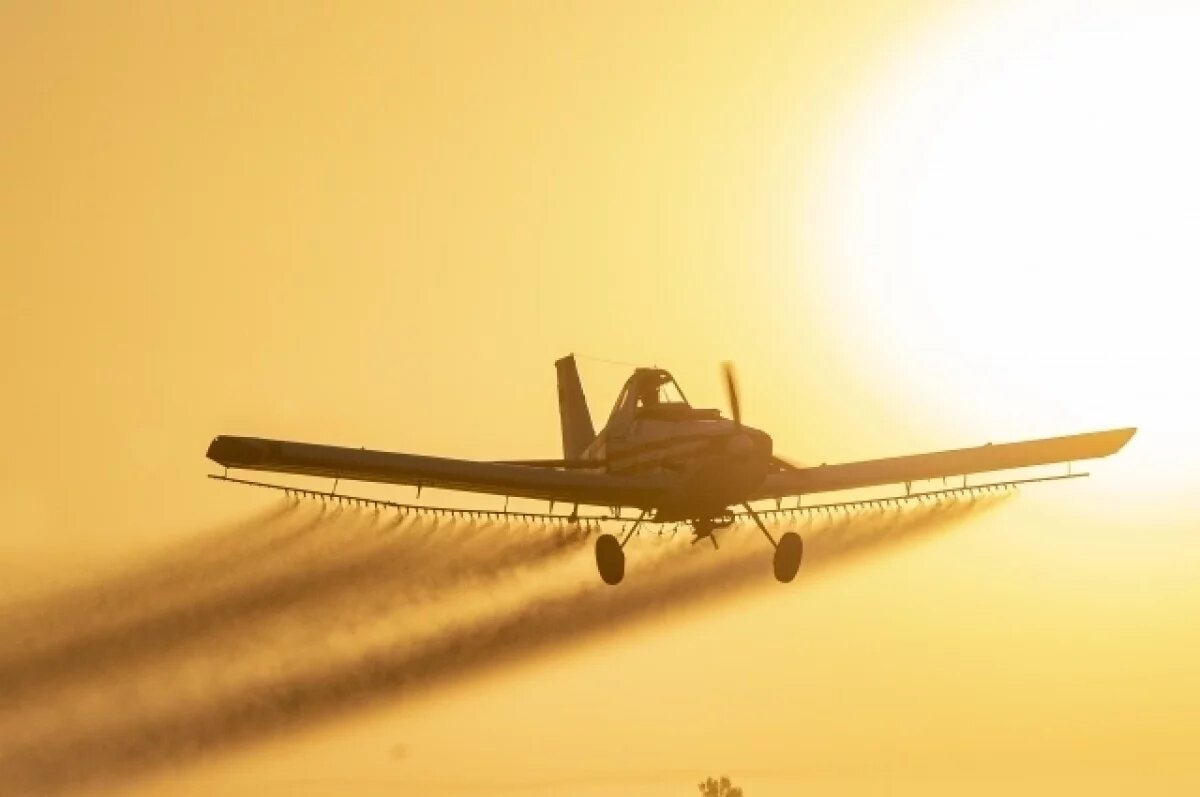    Из Омска снова полетели туристы во Вьетман после пятилетнего перерыва