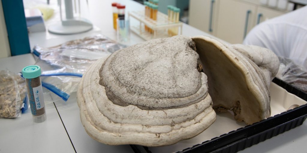 Фото: пресс-служба УрФУ