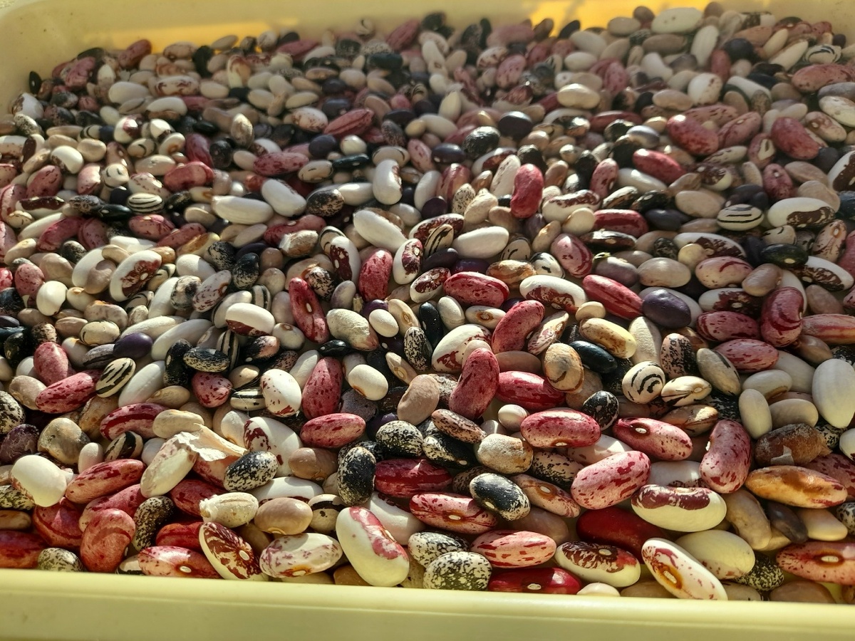 Фото сделано при утреннем солнце