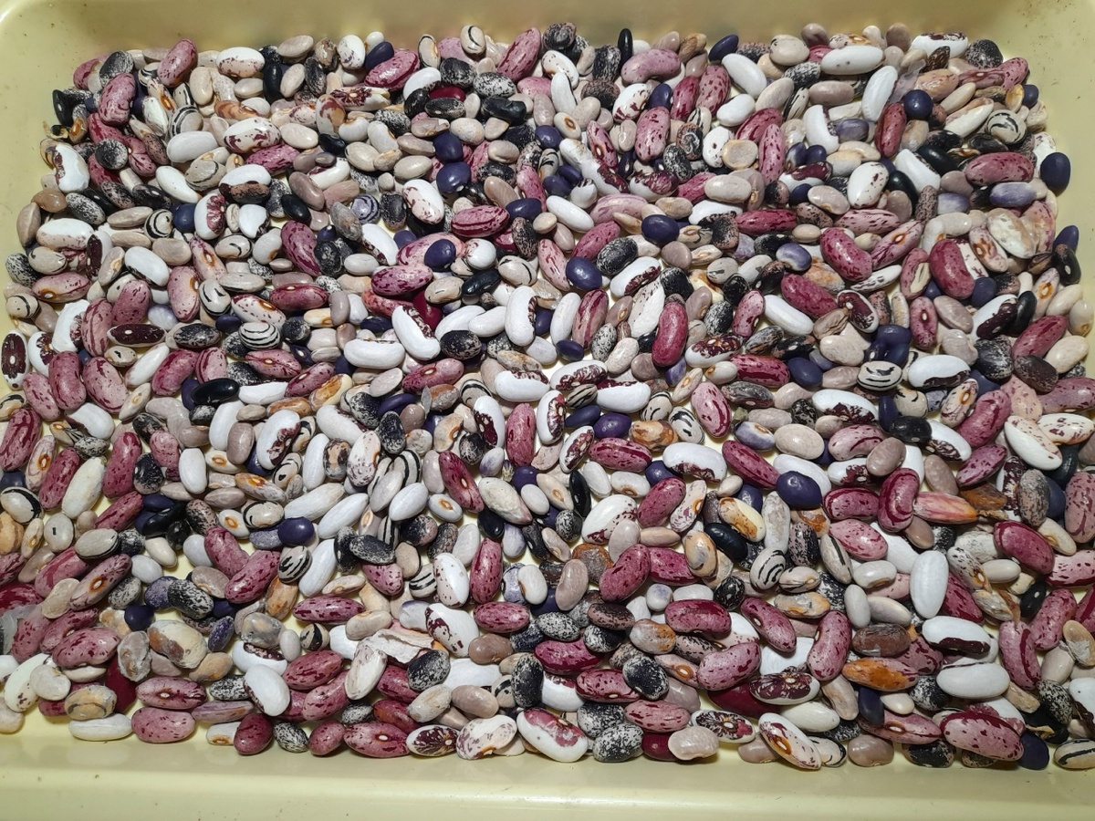 Фото сделано вечером под лампой