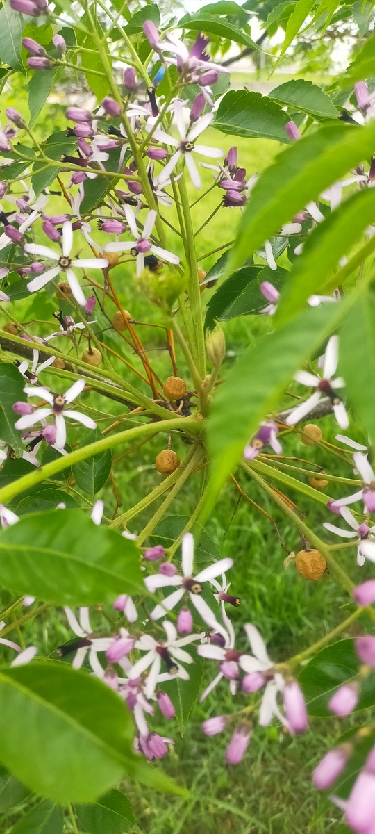 Фото от автора 