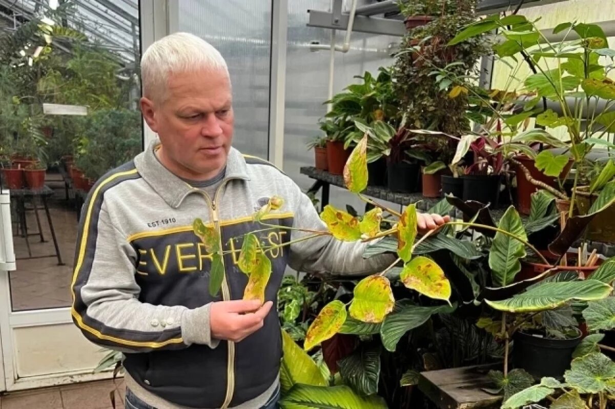    Сотрудники Ботанического сада обеспокоены судьбой растений