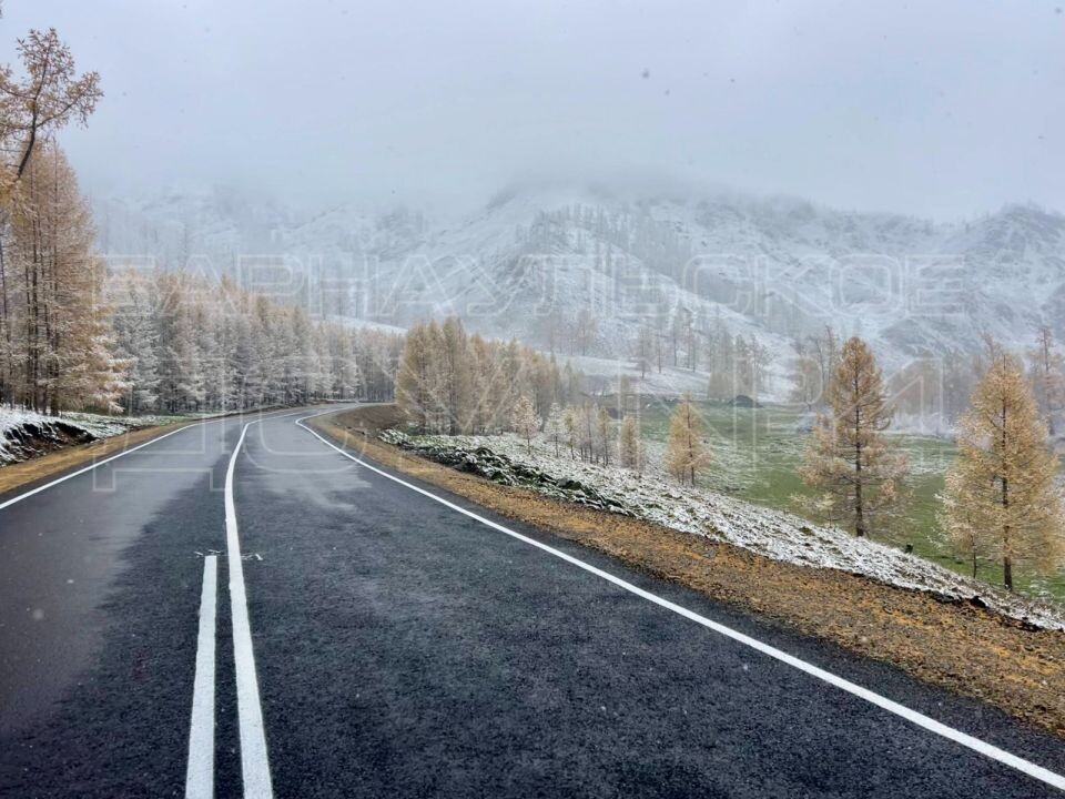    Обновленный участок дороги на Казахстан в Республике Алтай. Источник: Пресс-служба Барнаульского ДСУ №4