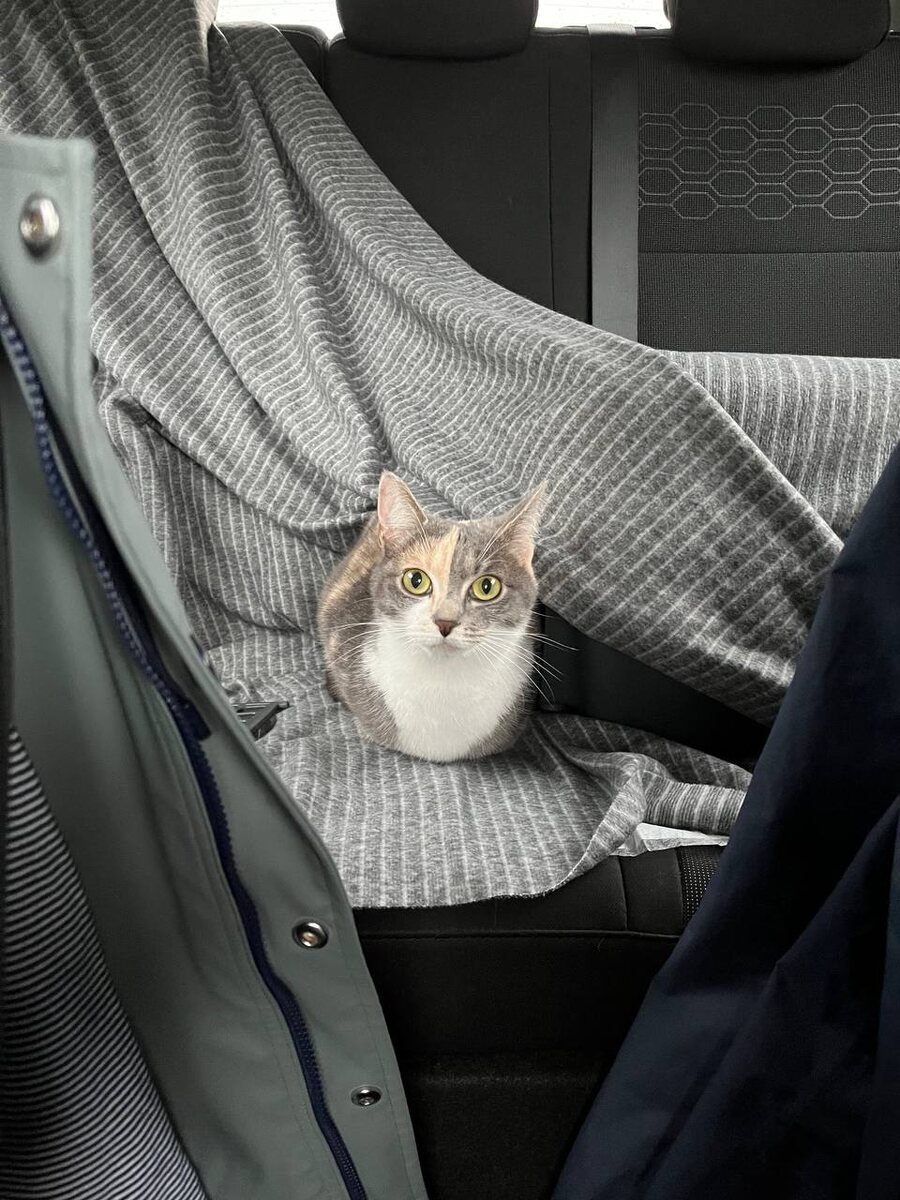 Мы едем-едем-едем в далёкие края... Фото из семейного архива