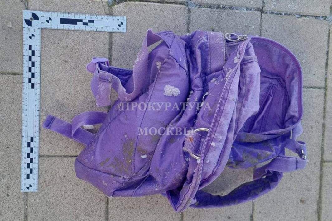 Рюкзак, в котором был обнаружен фрагмент тела. Фото: Прокуратура г. Москвы