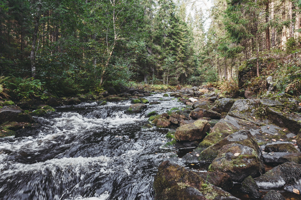 Забегая немного вперед, показываю вам местные красоты.