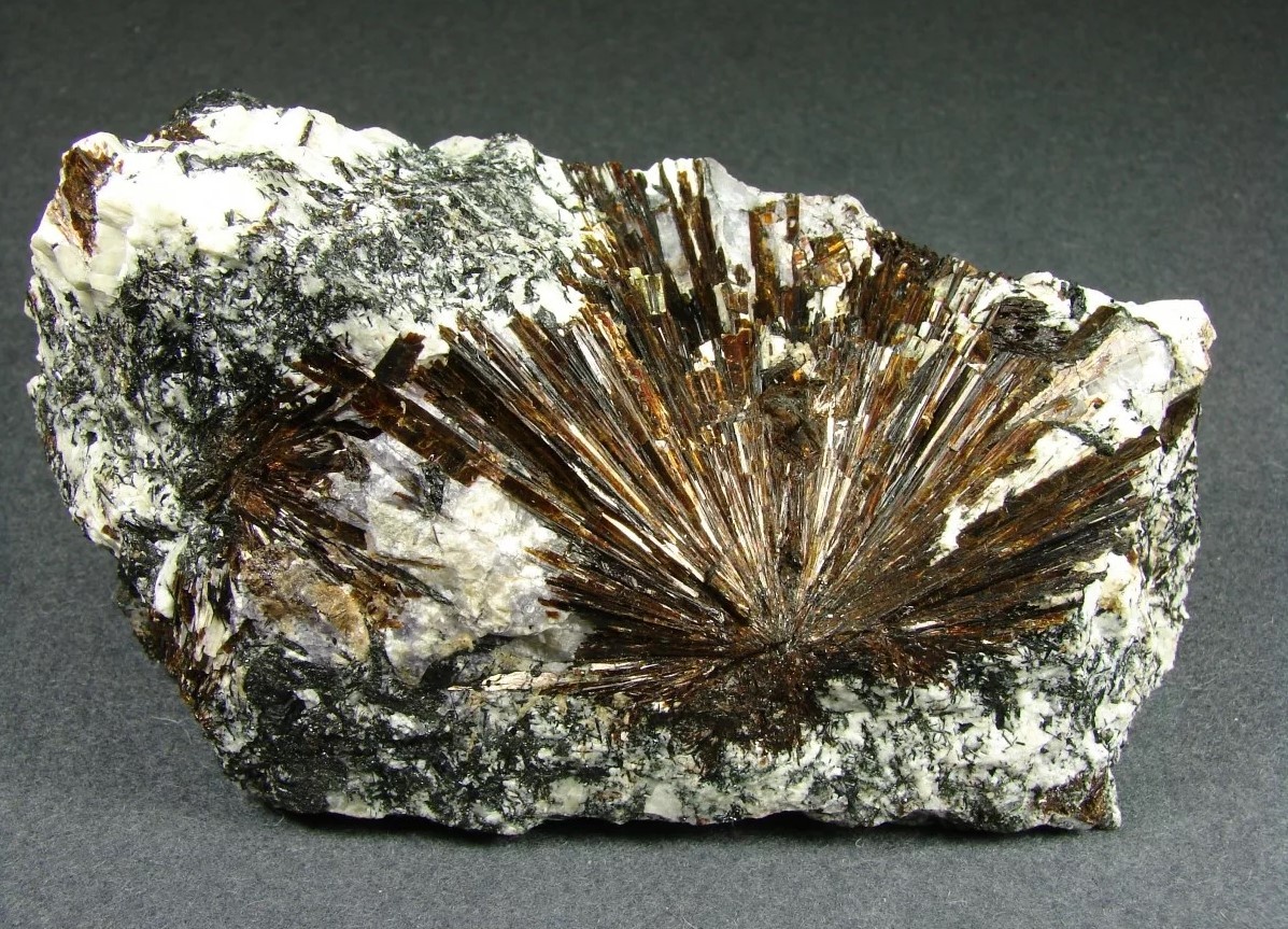 Фотография взята из открытых источников в сети интернет 