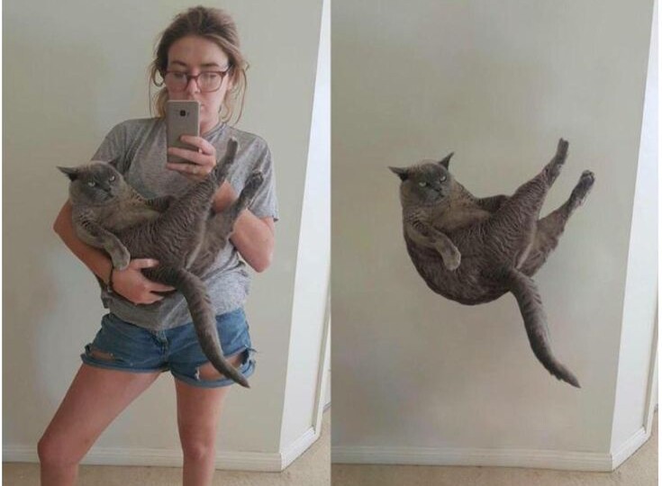 Убираем все лишнее. Почему только дефицит калорий и изменение отношения к еде ведут к похудению