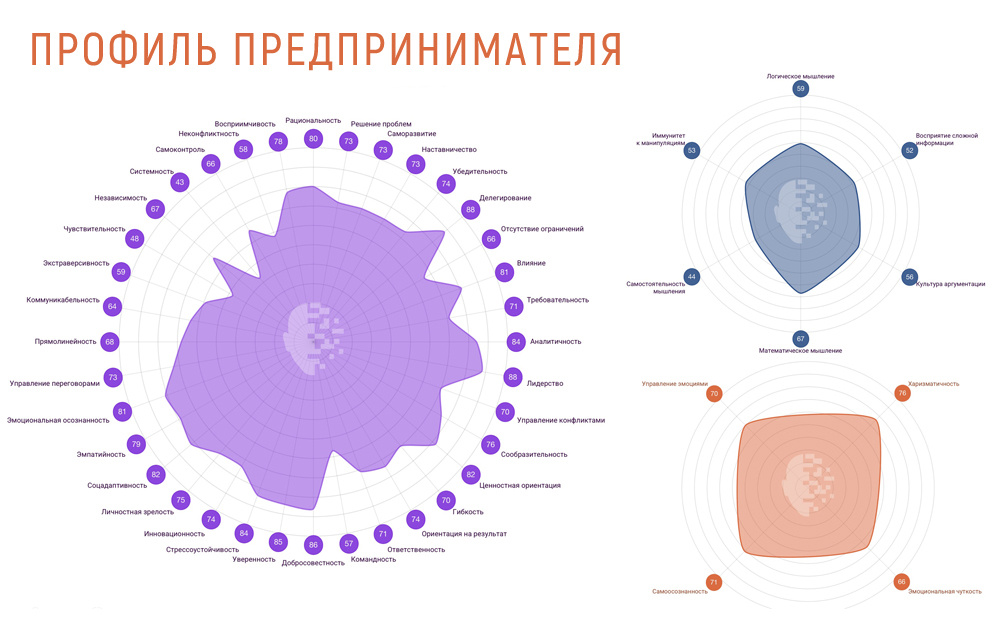 Цифровой профиль предпринимателя
