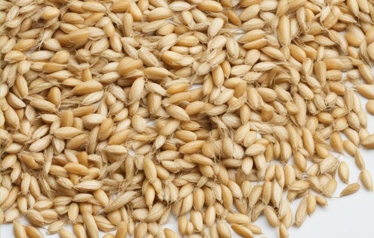    Фото: Медведева Анна, AgroXXI.ru