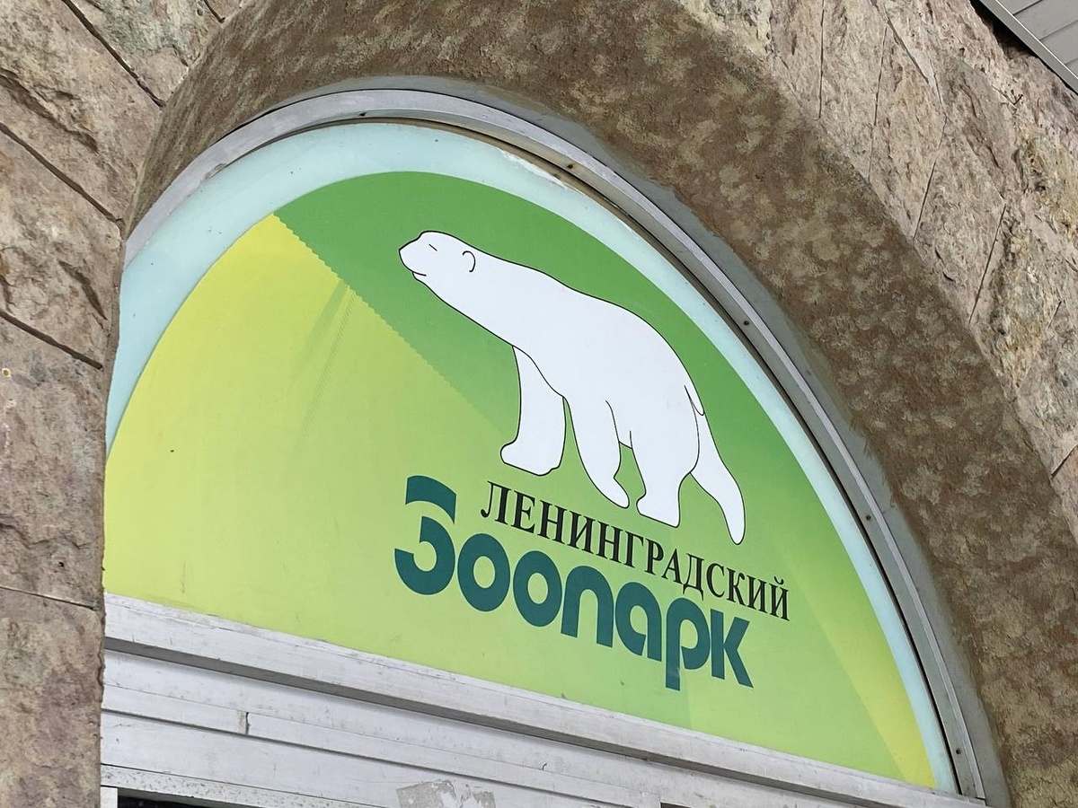 Фото: Neva.Today/Алена Васина