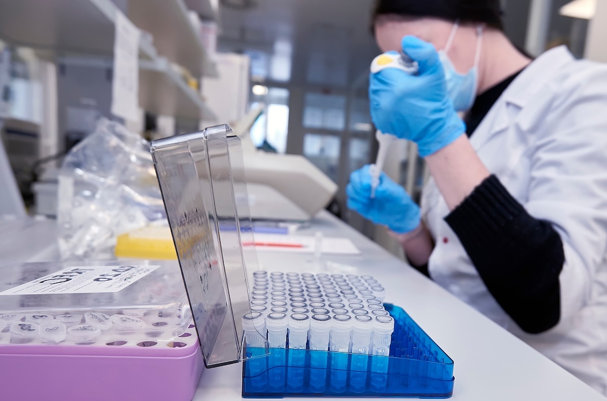    Фото: Vital Hil / Shutterstock.com