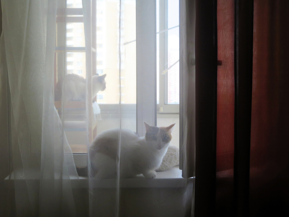 Фото команды прилагается.