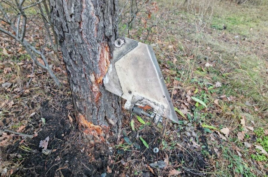     / Источник: © Пресс-служба Минобороны РФ/РИА Новости