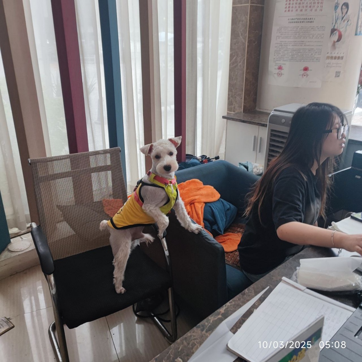 Unit 2, Building 7, No. 280 Baijia Section, Dajian Road, Shuangliu District, 610225 Чэнду, Сычуань, Китай