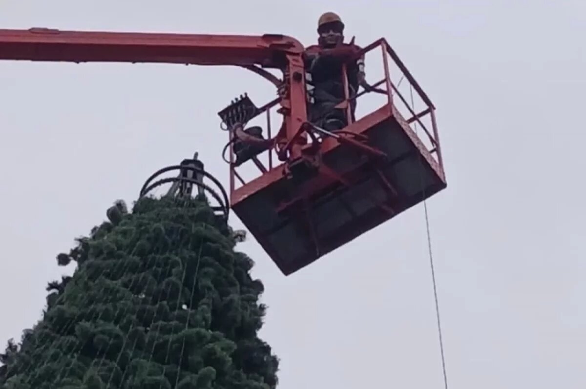    На Соборной площади Ульяновска украшают гирляндами новогоднюю ёлку