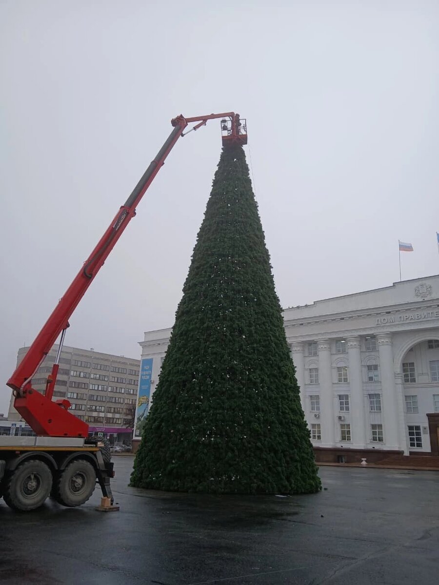   Фото: Администрация города Ульяновска