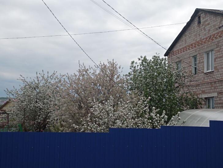    Фото: Пруфы.рф