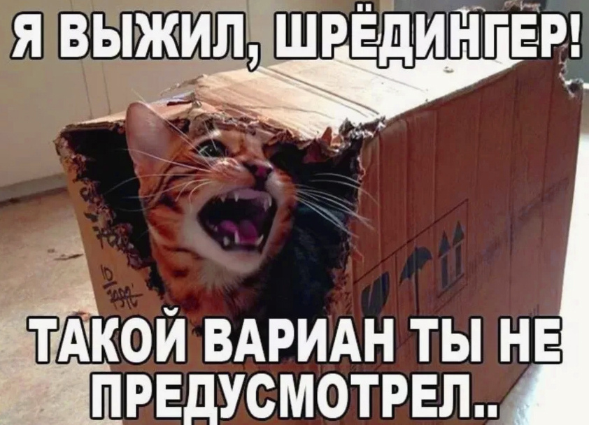 Кот Шрёдингера)