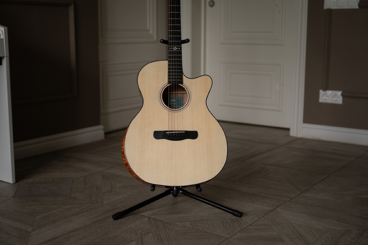 Акустическая гитара Aion Q10