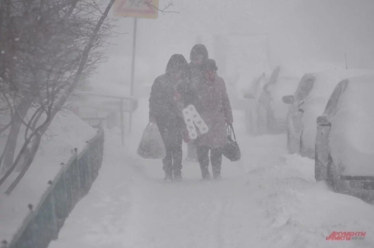    Сильный снег обрушится на север Республики Коми