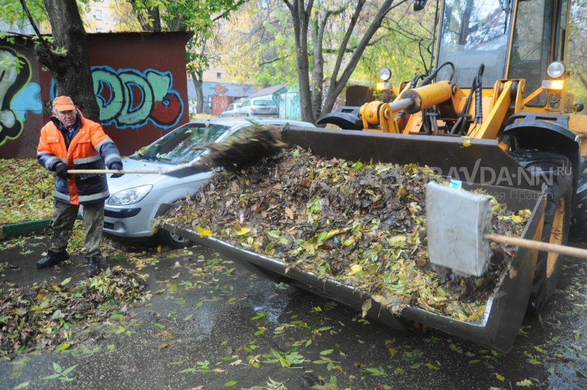    Нельзя оставлять собранные кучи листвы на улице — в них могут завестись грызуны и змеи.