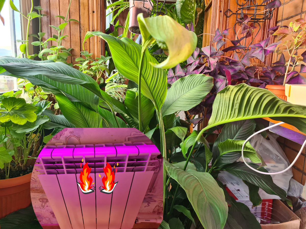 Фото из личного архива. 