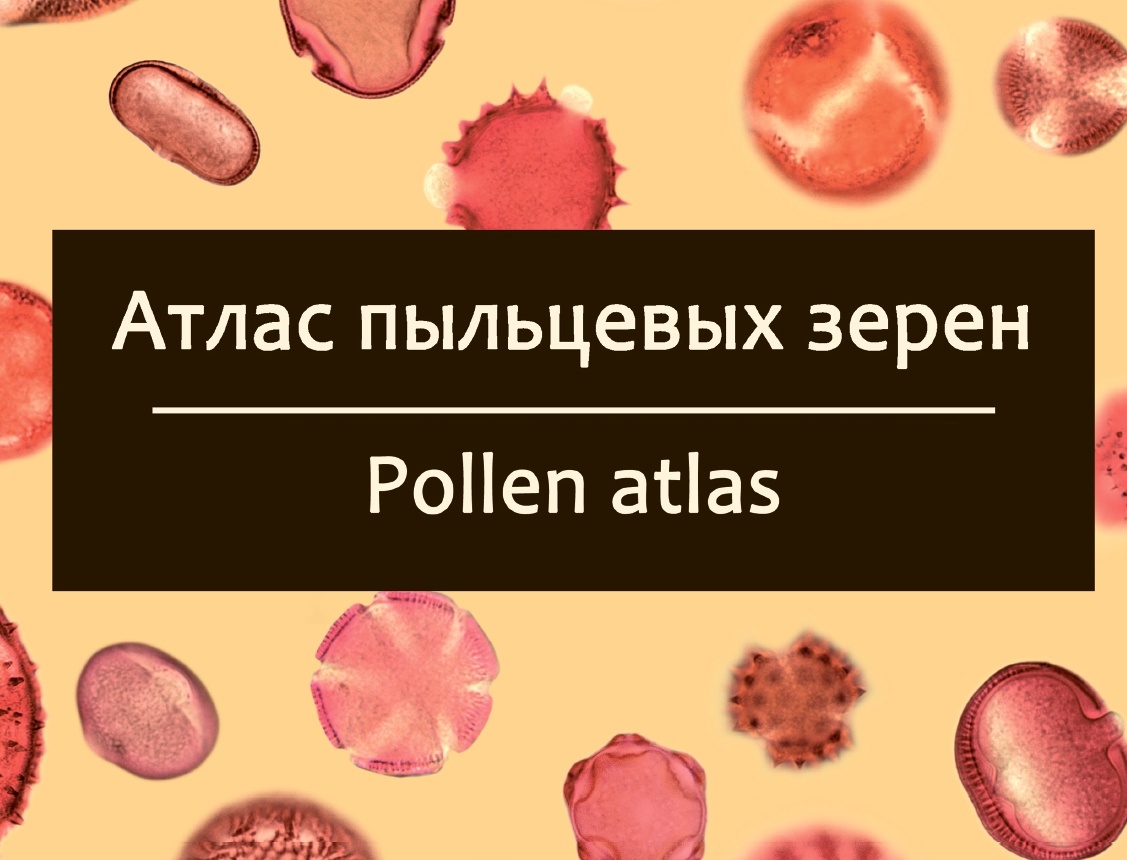 Атлас пыльцевых зерен Pollen Atlas