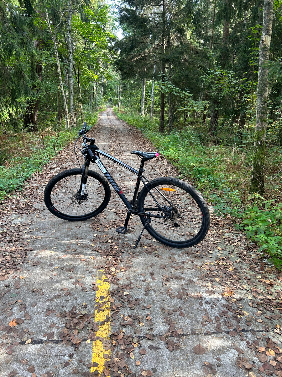 Куршская коса (фото автора)