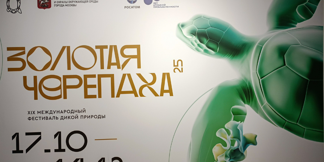 "Золотая черепаха"- международный фестиваль дикой природы