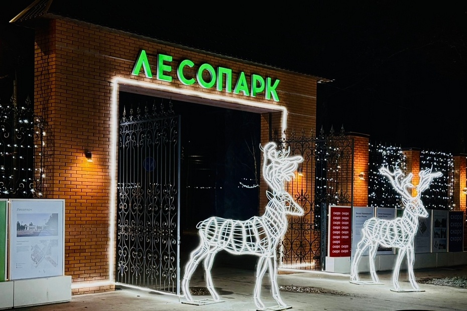 Фото: администрация Рязани