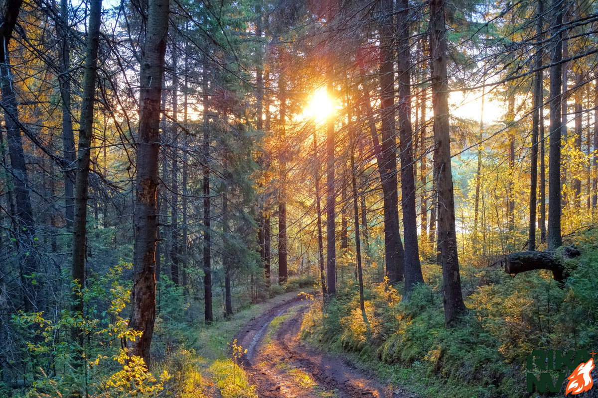 Первые лучи солнца пробиваются