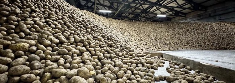    Фото: Минсельхоз Красноярского края