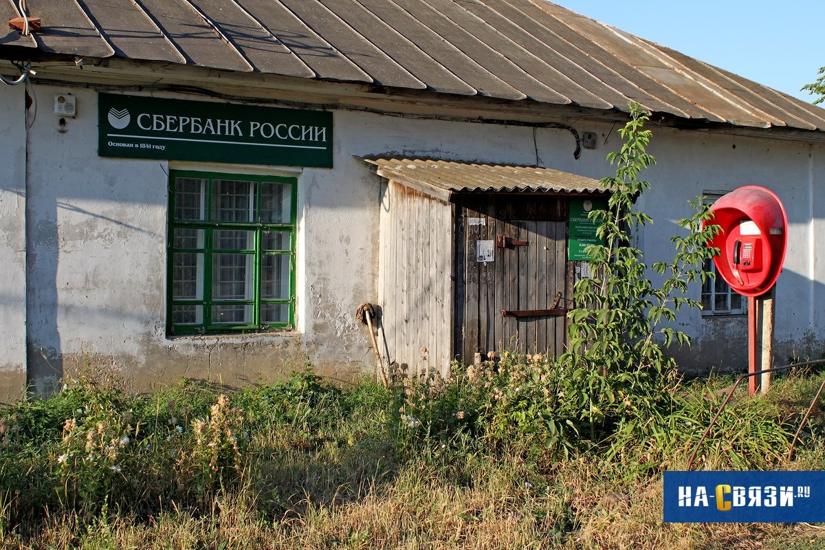 Фото из открытых источников.