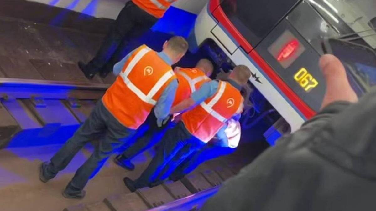    Фото: скриншот с видео / Осторожно, Москва / Telegram