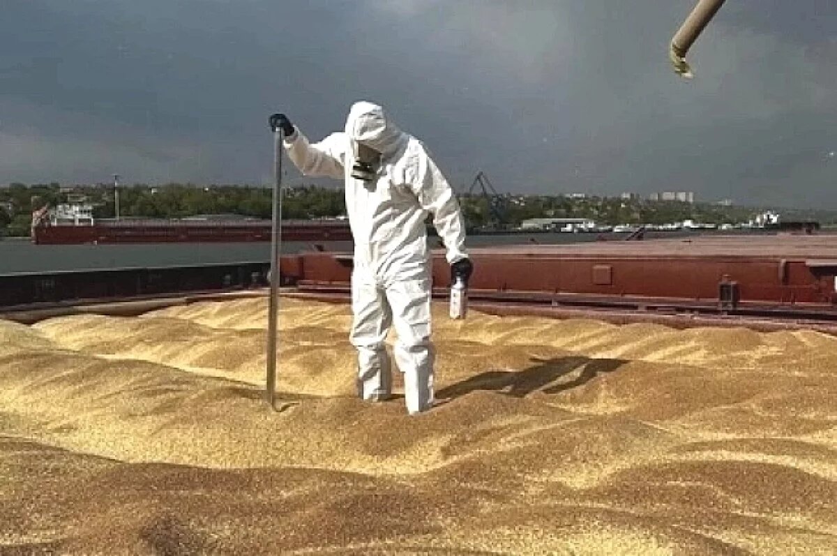    10 млн тонн сельхозпродукции ушло за 10 месяцев на экспорт с Дона