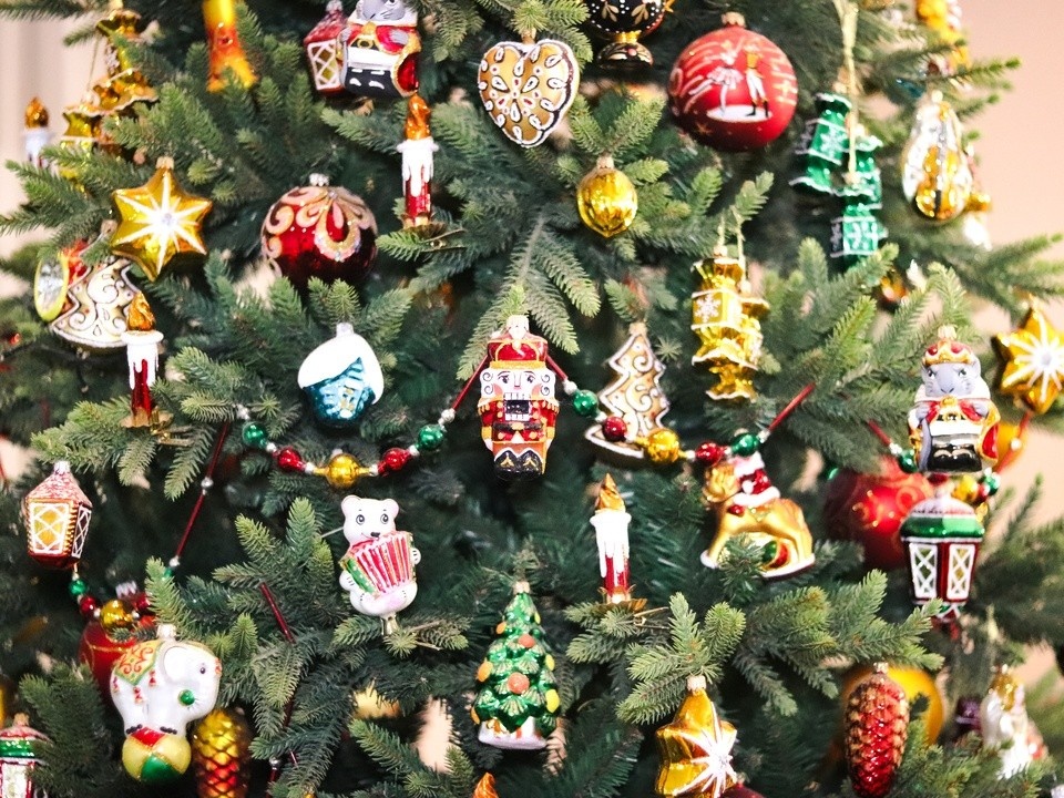    Фото: МедиаБанк Подмосковья/Данила Кирьянов