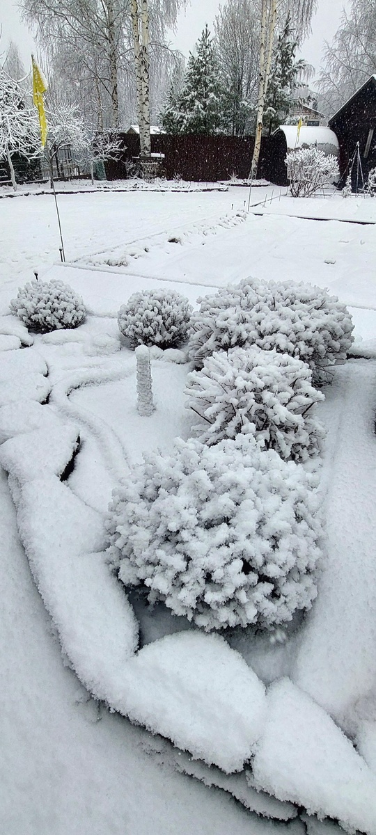 23 ноября (снег растаял на следующий день)