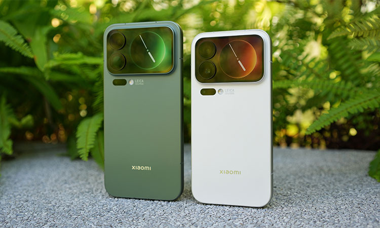 Изображение: открытые источники