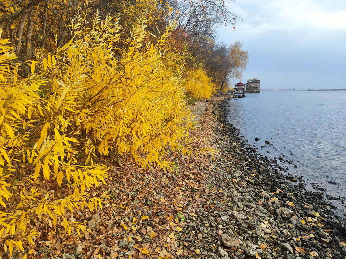 Фото автора.