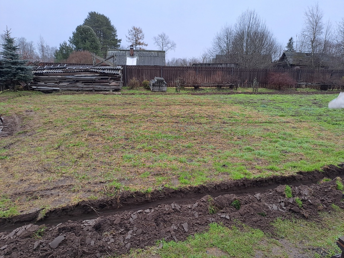    почти газон