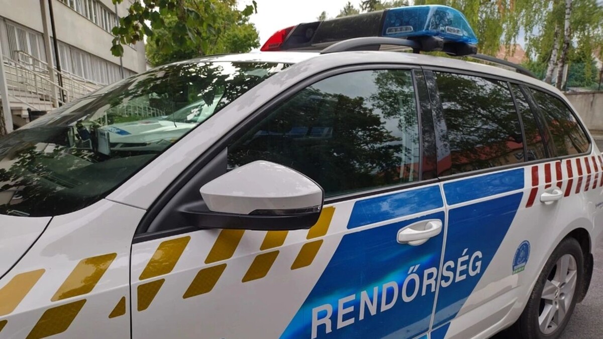    Фото: Koapan/Shutterstock/Fotodom