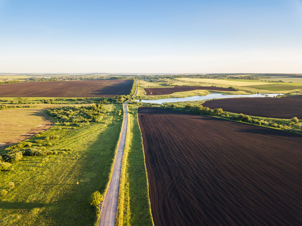 Чернозёмные поля в Тамбовской области