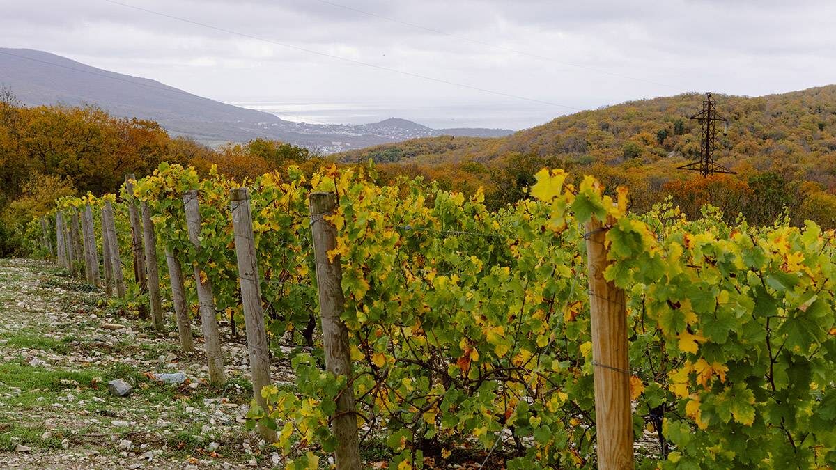    Фото: АиФ // Данилов Данила