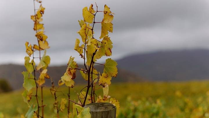  Фото: АиФ // Данилов Данила