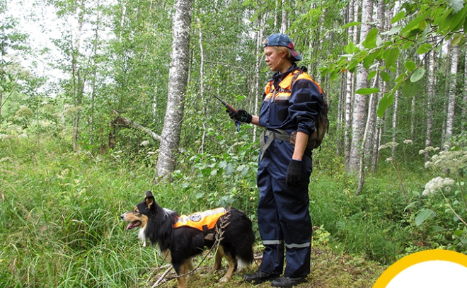    © ЛОГБУ "Дирекция ООПТ Ленинградской области"