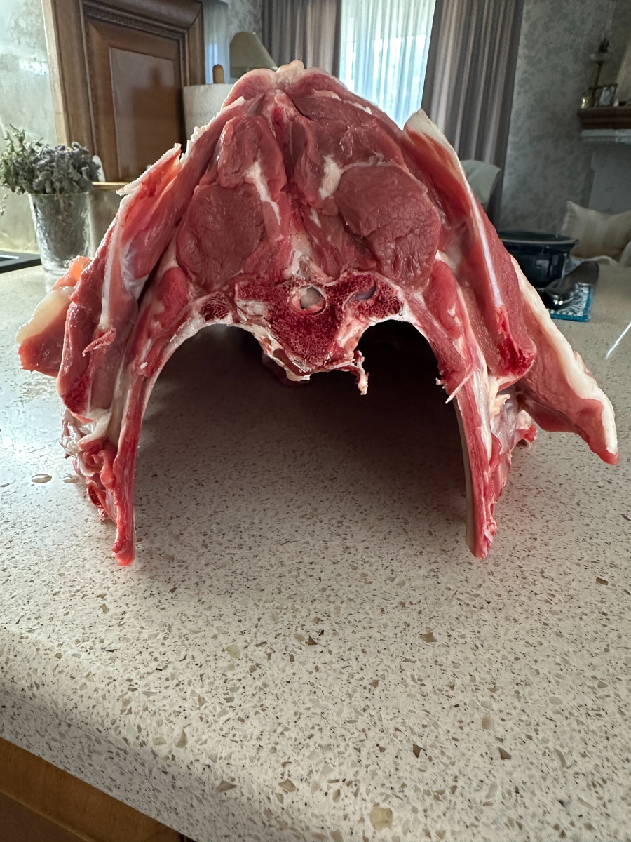 Седло барашка анфас. Фото автора