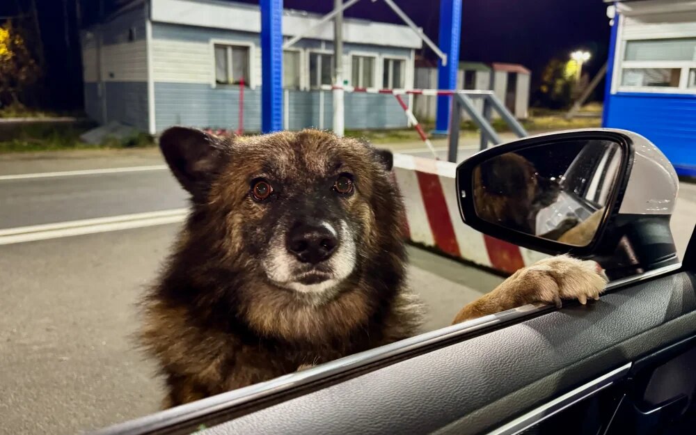    Фото: «Брянские новости»