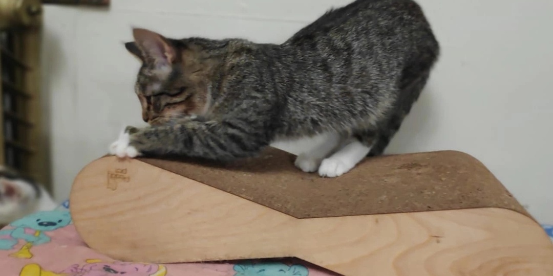 Если выкинуть, то лечить не придется